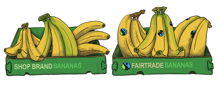 The price of bananas in UK supermarkets dropped from around 18p per banana a decade ago to just 11p